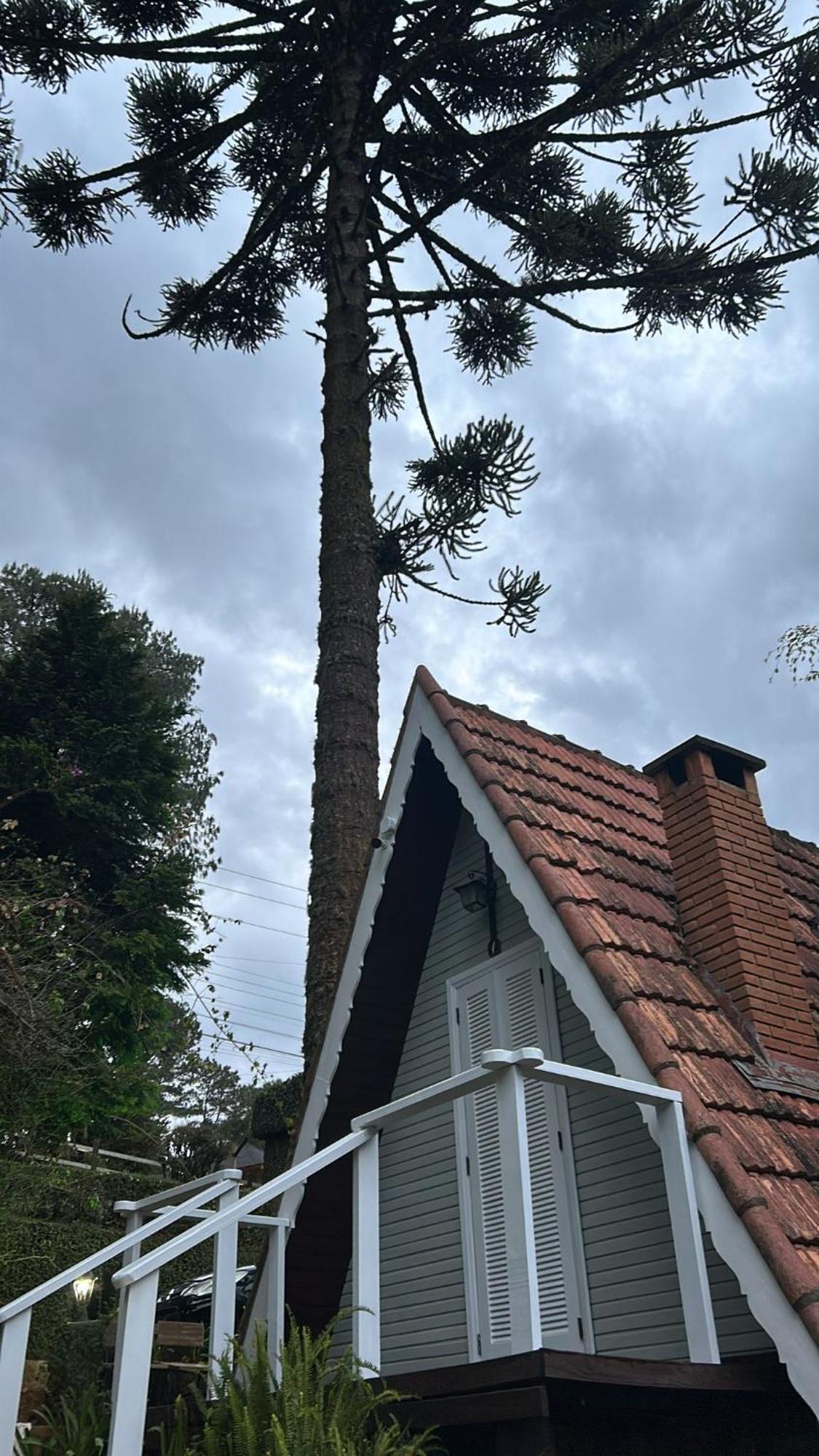 Perola Da Mantiqueira