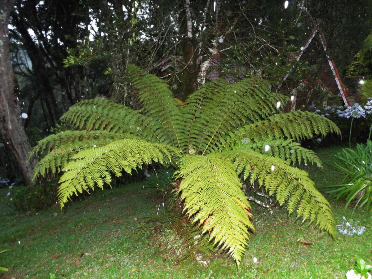Perola Da Mantiqueira Estalagem