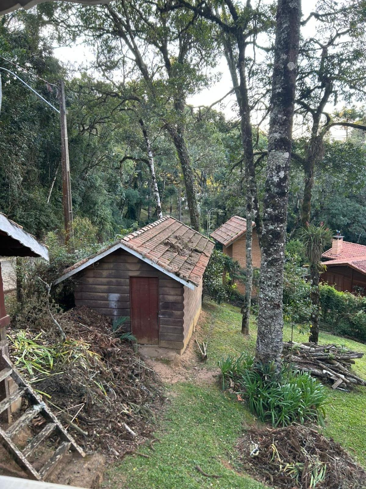 Perola Da Mantiqueira *
