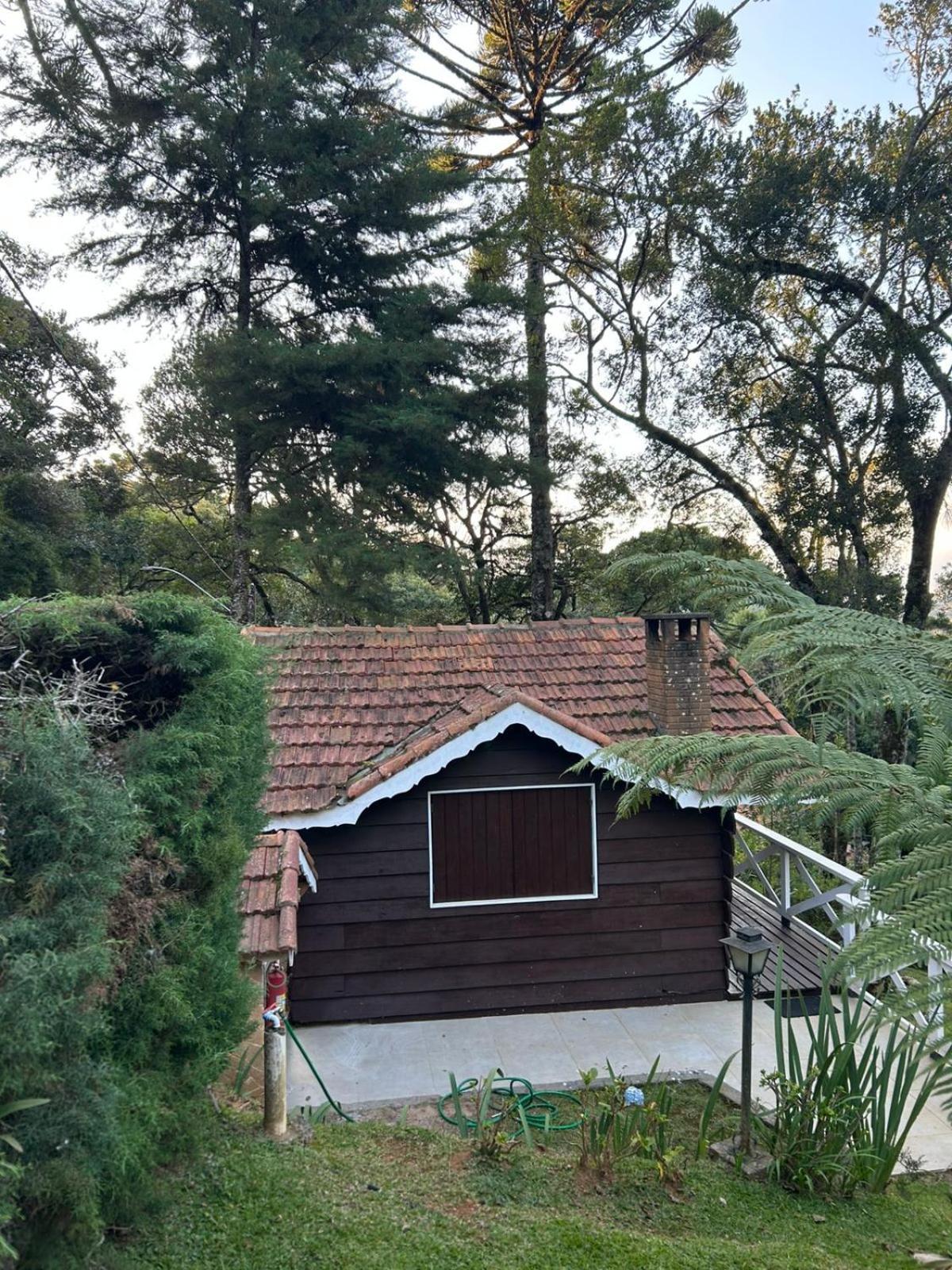 Perola Da Mantiqueira *